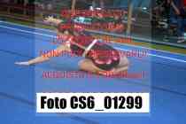 CS6_01299-