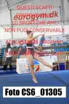 CS6_01305-
