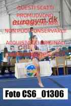 CS6_01306-
