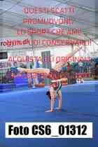 CS6_01312-