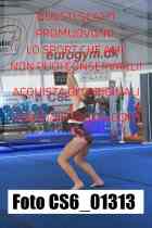 CS6_01313-