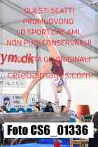 CS6_01336-