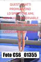 CS6_01355-