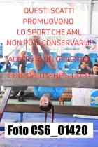CS6_01420-