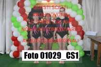 01029_CS1