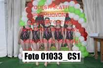 01033_CS1