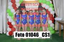 01046_CS1