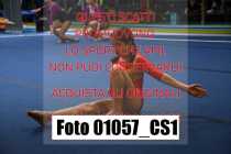 01057_CS1