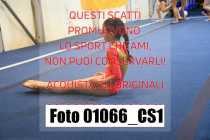 01066_CS1