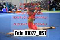 01077_CS1