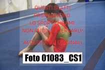 01083_CS1