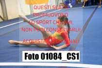 01084_CS1