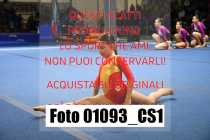 01093_CS1