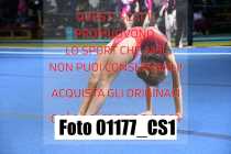 01177_CS1