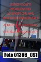 01366_CS1