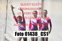 01438_CS1