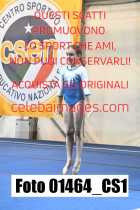 01464_CS1