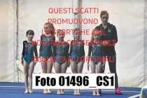 01496_CS1