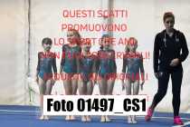 01497_CS1
