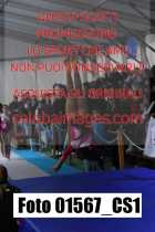 01567_CS1