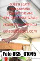 CS5_01045-