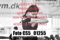 CS5_01255-
