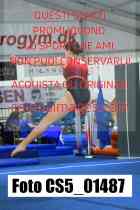 CS5_01487-