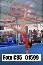 CS5_01599-
