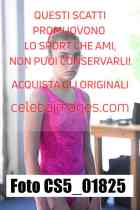 CS5_01825-