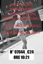 07044_C24