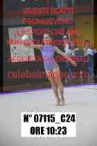 07115_C24