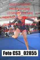 CS3_02855-