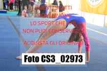 CS3_02973-