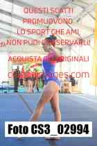 CS3_02994-