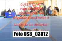 CS3_03012-