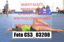 CS3_03208-