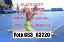 CS3_03220-