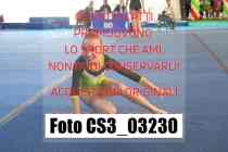 CS3_03230-