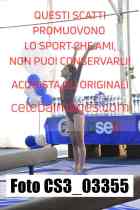 CS3_03355-