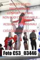 CS3_03446-
