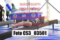CS3_03501-