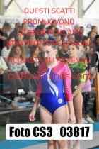 CS3_03817-