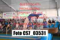 CS7_03531-