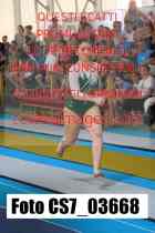 CS7_03668-