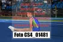 CS4_01481-