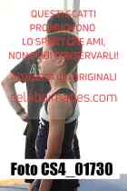 CS4_01730-