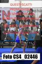 CS4_02446-