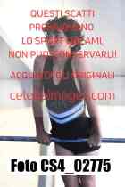 CS4_02775-
