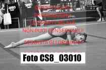 CS8_03010-