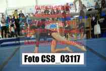 CS8_03117-